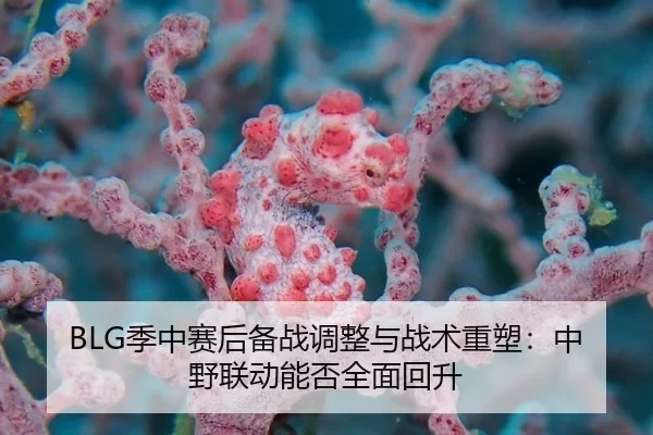 ji-zhong-sai-hou-bei-zhan-tiao-zheng-yu-zhan-shu-zhong-su-zhong-ye-lian-dong-neng-fou-quan-mian-hui-sheng-2-500.jpg